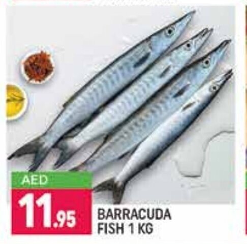 Shaklan Barracuda Fish 1 Kg offer