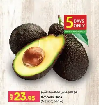Lulu Hypermarket Avocado Hass Mexico Per Kg offer