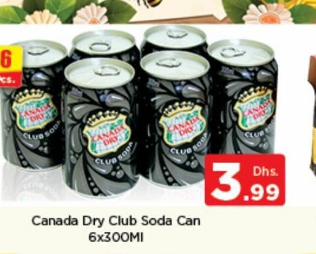 Nesto Canada dry club soda can 6x300ml offer