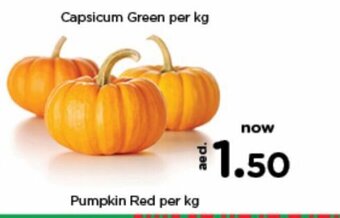 Nesto Pumpkin red per kg offer
