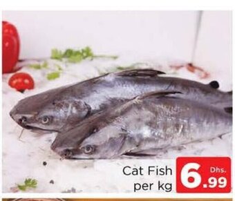 Nesto Cat Fish Per Kg offer