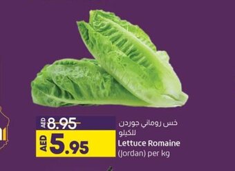 Lulu Hypermarket Lettuce Romaine Jordan Per Kg offer
