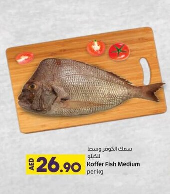 Lulu Hypermarket Koffer Fish Medium Per Kg offer