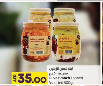 Lulu Hypermarket Olive Branch Labneh Assorted 500gm offer