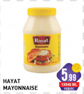Day To Day Hayat mayonnaise offer