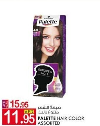 KM Trading Palette Hair Color Assorted offer