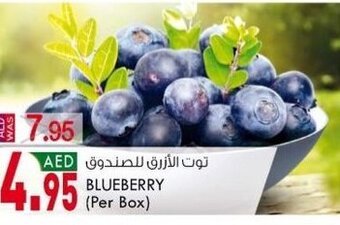 KM Trading Blueberry per box offer