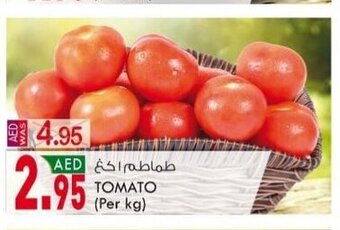 KM Trading Tomato per kg offer