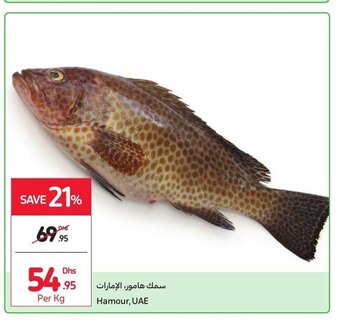 Carrefour Hamour, UAE offer