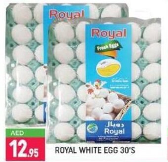 Shaklan Royal white egg 30's offer