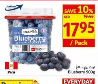 Viva Blueberry 500g offer