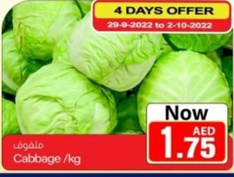 Sajidha Supermarket Cabbage/KG offer