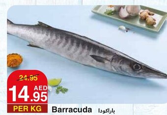 West Zone Supermarket Barracuda per kg offer