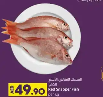 Lulu Hypermarket Red snapper fish per kg offer