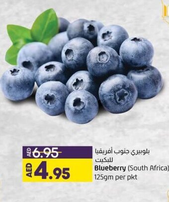 Lulu Hypermarket Blueberry (south africa) 125gm per pkt offer