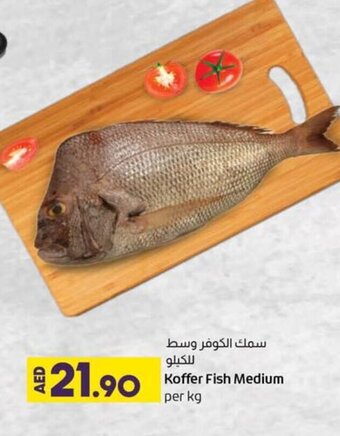 Lulu Hypermarket Koffer fish medium per kg offer