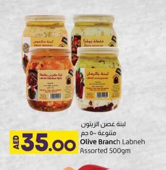 Lulu Hypermarket Olive branch labneh assorted 500gm offer