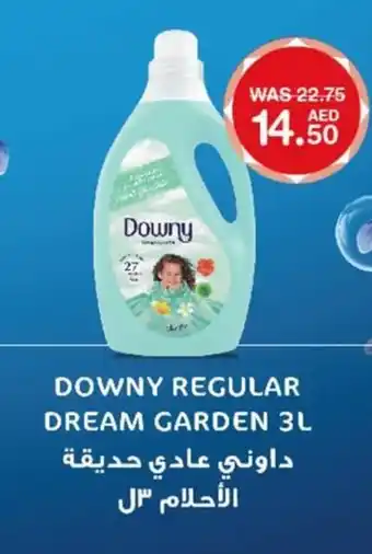 Choithrams Downy regular dream garden 3L offer