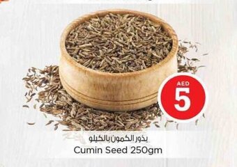 Nesto Cumin Seed 250gm offer