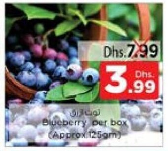 Nesto Blueberry per box (approx. 125GM) offer