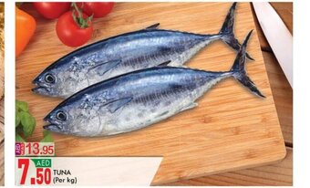 KM Trading Tuna (per kg) offer