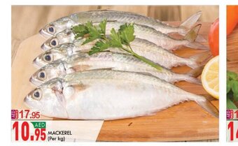 KM Trading Mackerel (per kg) offer