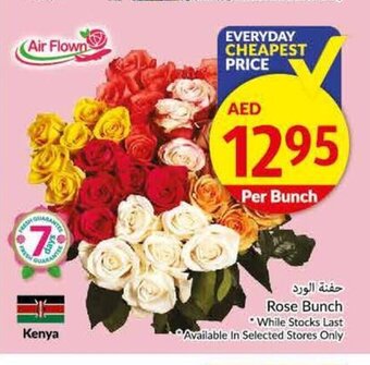Viva Rose bunch offer