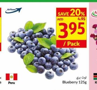 Viva Blueberry 125g offer