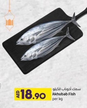 Lulu Hypermarket Akhubab Fish Per Kg offer