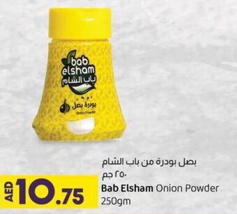 Lulu Hypermarket Bab Elsham Onion Powder 250gm offer