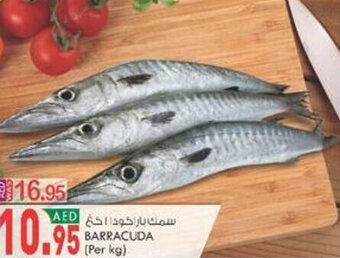 KM Trading Barracuda (per kg) offer