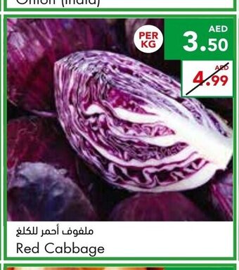 Almaya supermarket Red cabbage per kg offer