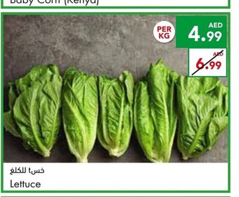 Almaya supermarket Lettuce per kg offer