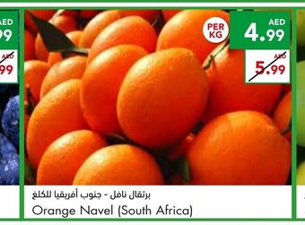 Almaya supermarket Orange navel (south africa) offer