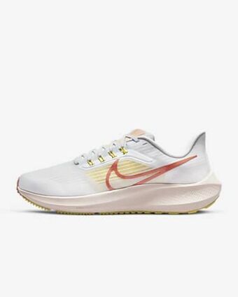 Nike Nike air zoom pegasus 39 offer