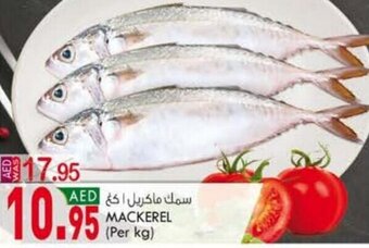 KM Trading Mackerel (per kg) offer