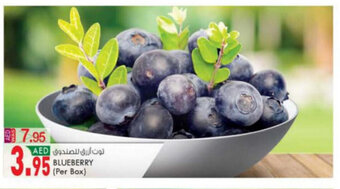 KM Trading Blueberry Per Box offer