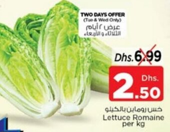 Nesto Lettuce Romaine per kg offer