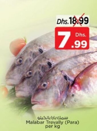Nesto Malabar Trevally (Para) per kg offer