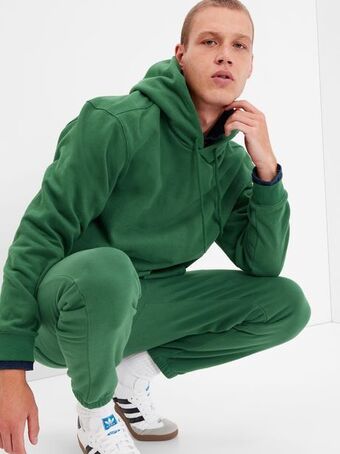 GAP Vintage soft hoodie offer