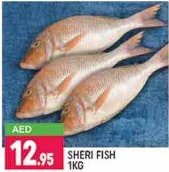 Shaklan Sheri fish 1 kg offer