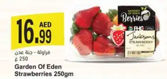 Almaya supermarket Garden Of Eden Strawberries 250gm offer