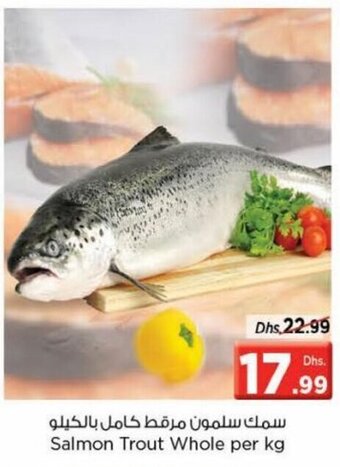 Nesto Salmon Trout Whole per kg offer