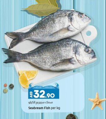 Lulu Hypermarket Seabream Fish per kg offer