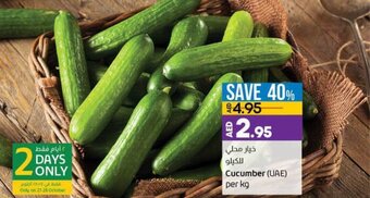 Lulu Hypermarket Cucumber (UAE) offer