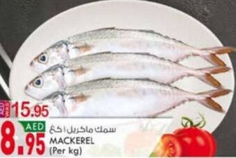 KM Trading Mackerel (per kg) offer