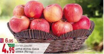 KM Trading Apple Royal Gala Serbia (per kg) offer