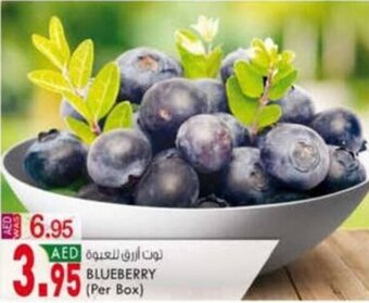 KM Trading Blueberry (per box) offer