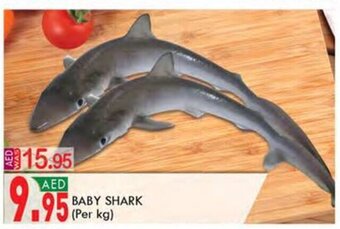 KM Trading Baby Shark Per Kg offer