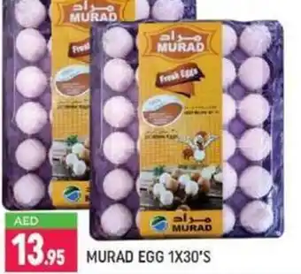 Shaklan Murad eggs 1x30's offer